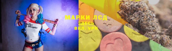 ПСИЛОЦИБИНОВЫЕ ГРИБЫ Туринск