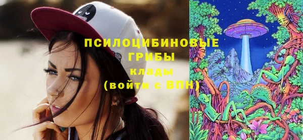 ПСИЛОЦИБИНОВЫЕ ГРИБЫ Туринск