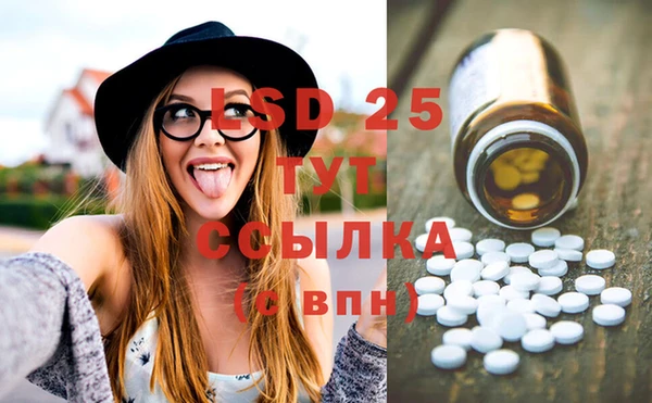 ПСИЛОЦИБИНОВЫЕ ГРИБЫ Туринск