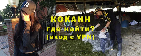 ПСИЛОЦИБИНОВЫЕ ГРИБЫ Туринск