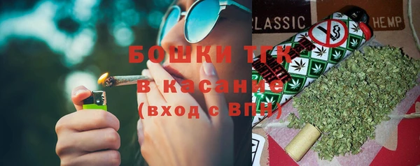 ПСИЛОЦИБИНОВЫЕ ГРИБЫ Туринск