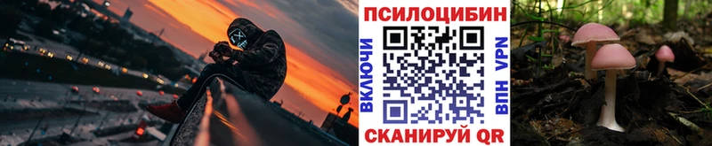 Галлюциногенные грибы Cubensis  Новая Усмань 